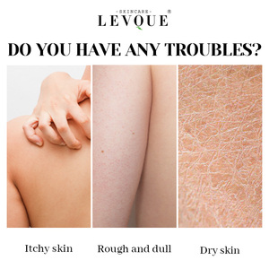 Gel Douche Végétalien Marque Blanche aux Extraits d'Abricot Hydratant et Rafraîchissant, <span class=keywords><strong>Lait</strong></span> Corporel Nourrissant à Base de Plantes - Product Image 4