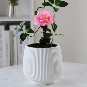 Maceta de cerámica con forma de bola hecha a mano moderna, Color Morandi Ins <span class=keywords><strong>para</strong></span> <span class=keywords><strong>mesa</strong></span> de casa o decoración de jardín, maceta decorativa Floral - Product Image 5