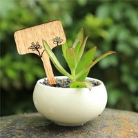 Label tanaman bambu ramah lingkungan, tanda tanaman kayu penanda taman untuk biji Bonsai pot tanaman bunga