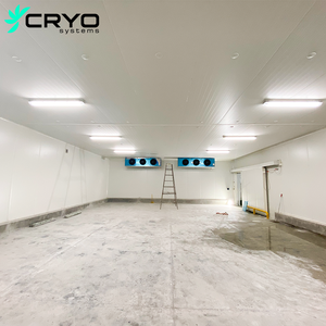 ห้องแช่แข็งระบบ CRYO สำหรับผู้ส่งออกอะโวคาโด พร้อมเครื่องยนต์ ปั๊ม ประหยัดพลังงาน รักษาความสดใหม่ สำหรับการขนส่งระยะไกล - Product Image 1