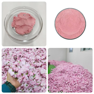 オーガニック食品グレード純粋桜花ハーブエキス粉末<span class=keywords><strong>100%</strong></span>水溶性80メッシュHPLC認証済み1kgドラム＆バッグ包装 - Product Image 1