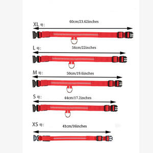 LED 빛나는 개 목걸이 조정 가능한 깜박임 충전 발광 칼라 야간 분실 방지 개 라이트 하네스 소형 개 애완 동물 제품 - Product Image 6