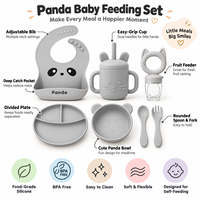 Ensemble d'alimentation pour bébé en silicone personnalisé OEM Panda avec assiette compartimentée, bol et distributeur de fruits pour la vente en gros