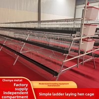 Vente en gros de cages à poules pondeuses de 10 000 unités, système d'abreuvement pour l'élevage avicole, capacité 128/160, cage à poules en batterie galvanisée