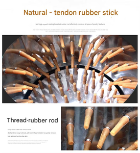 Machine à plumer les poulets et les cailles motorisée à grande vitesse avec roulement - Équipement d'abattage de volaille le plus vendu Garantie de 2 ans - Product Image 4