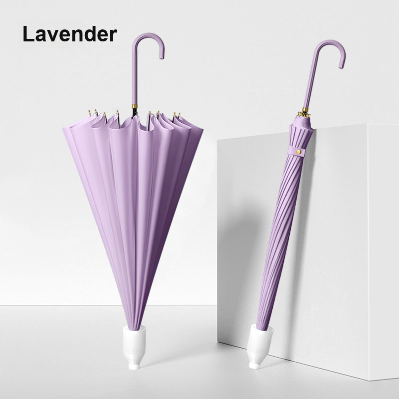 Lavande pourpre