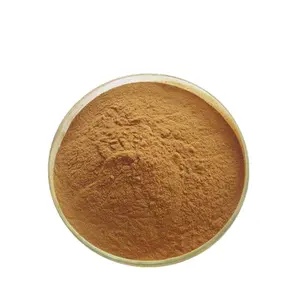 Coprinus comatus chiết xuất polysaccharides 10% ~ 50% coprinus comatus bột