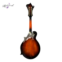 Groupe de Mandolin acoustique à 8 cordes, pour groupe de musique, commandes au soleil