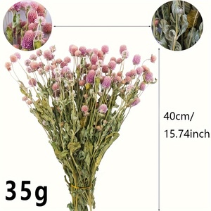 Fleurs d'amarante globe séchées naturelles, boutons de marié roses préservés pour la décoration intérieure, les mariages, les arrangements floraux DIY - Product Image 6