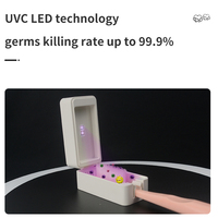 Brosse à dents murale désinfectante de voyage utilisée Sterlizer UVC UVA lumière LED stérilisateur de brosse à dents portable