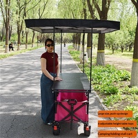 Chariot pliant d'extérieur personnalisé à roues larges, chariot de jardin, chariot de plage, chariot de camping avec pare-soleil amovible, poussette-chariot
