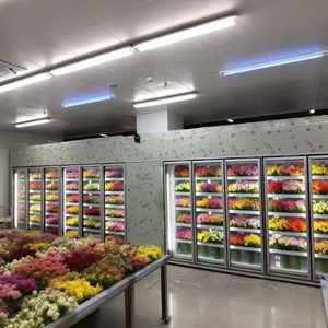 <span class=keywords><strong>ตู้</strong></span>แช่เย็นประตูกระจกสำหรับเดินในซูเปอร์มาร์เก็ต<span class=keywords><strong>ตู้</strong></span>แช่เย็น - Product Image 5