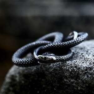 Collar con Colgante de Serpiente de Acero Inoxidable 316L, Estilo Vikingo, Gótico, Punk, para Hombre, Resistente al Agua, con Nudo Animal - Product Image 2