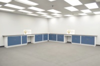 Banc de travail chimique et physique avec armoire, mobilier de laboratoire dentaire, tables de laboratoire pour salle blanche, tests alimentaires, laboratoire pharmaceutique
