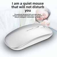 Souris sans fil rechargeable Bluetooth double mode, souris d'ordinateur silencieuse avec lumière RGB, 2.4G USB pour ordinateur portable, PC, bureau
