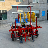 Machine à repiquer les légumes à deux rangées, pour patates douces, tomates, oignons ; machine de transplantation