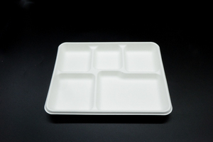 Chất lượng cao Phân hủy sinh học dùng một lần mía bã mía bột giấy 5 ngăn <span class=keywords><strong>container</strong></span> thực phẩm khay với nắp - Product Image 4