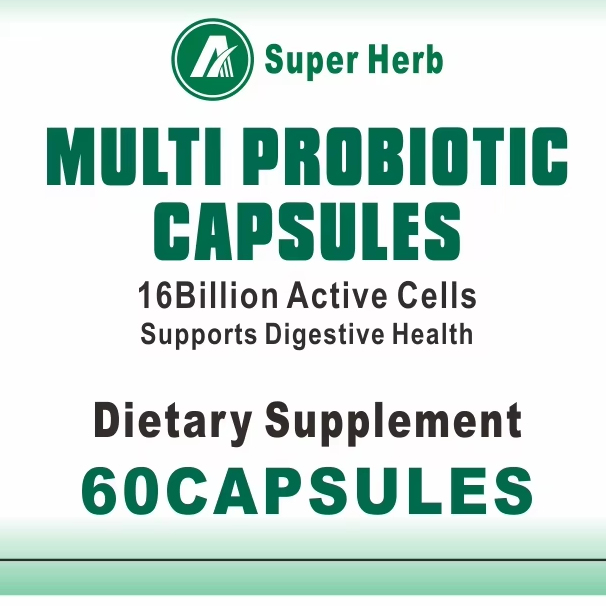OEM/ODM  Probiotics Capsules - 16 Billion CFU Robiotics Daily Probiotics for Digestive Health, Immune Constipa