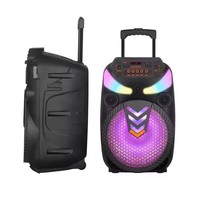 Altavoz de Karaoke Portátil, Reproductor de Música, Altavoces Grandes para Fiestas al Aire Libre, Luz RGB, Altavoz de Karaoke de 12 Pulgadas con Micrófono y Bluetooth