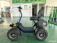 Chariot utilitaire électrique de plage à quatre roues Leodoo avec une vitesse de 50-70 km/h et une autonomie de 50-70 km