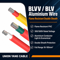 Chinesischer Lieferant BLVV Rundes Flachkabel PVC-Isoliert Ummantelt Mehradrig 4mm 6mm 10mm für Lager- und Fabrikverkabelung