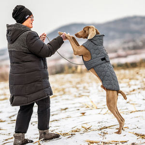 Chaqueta de Lujo para Perro Galgo de Poliéster, Abrigo de Moda para Mascotas de Primavera e Invierno, Diseño Elegante de Ropa para Cachorros - Product Image 5