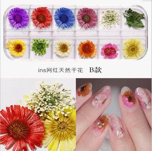 Autocollants professionnels fleurs séchées de bonne qualité, étiquette 3D, naturels, pour <span class=keywords><strong>Nail</strong></span> <span class=keywords><strong>art</strong></span>, 1 pièce - Product Image 6