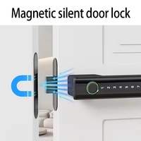 Clé RFID de compatibilité de l'aimant FingeLock de serrure de poignée silencieuse écologique pour la maison hôtels stockage de mot de passe d'accès à la maison intelligente