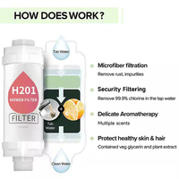 Filtre de Douche Coréen H201 Multi-saveurs Parfumé, Tête de Douche à Vitamine C, Pré-filtre Aromatique pour Salle de Bain