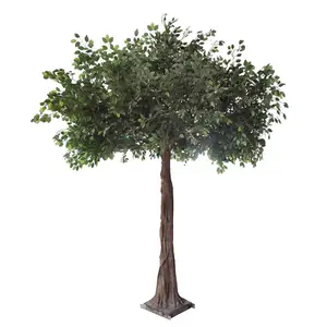 China Leverancier Goedkope Prijs Ficus Boom Decoratieve Kunstmatige Banyan Boom Hoge Simulatie Ficus Boom Glasvezel Stammen Te Koop