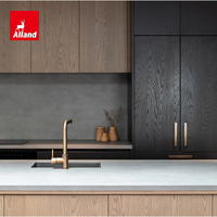 Alland Nouveaux designs d'îlots de cuisine en contreplaqué stratifié, finition noire mate, style moderne, pour placards de garde-manger, directement de Chine