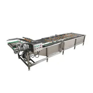 Brush Washing Cleaning Peeling Machine Sugar Beets Washing And Peeling Machine Continuous Taro Washing Peeling Machine