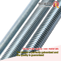 Chinese High-quality Fastener Manufacturer DIN975 Carbon Steel Galvanized 4.8 Grade M8 M10 M12 M14 * 3000mm Fully Threaded Rod