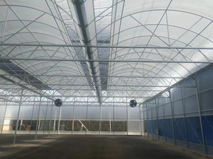 Custo Efetivo Multispan Greenhouse Top Quality Melhor preço Tamanho Grande Personalizado Agricultura Estufa Hot Selling Greenhouse - Product Image 6
