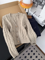 Tricot brodé de style coréen pour femmes, nouvelle collection automne-hiver 2027, décontracté et polyvalent, doux et chaud