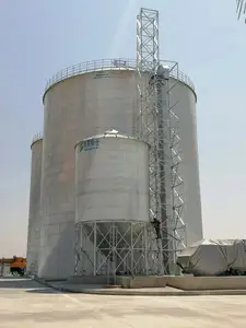 2000 5000 10000 Ton Silo Gandum Bawah Datar untuk Gandum Jagung Padi Penyimpanan Beras Silo Gandum untuk Dijual