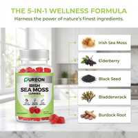 Gummies de mousse de mer sans sucre certifiées GMP Pureon, complément alimentaire végétalien pour adultes, soutien immunitaire