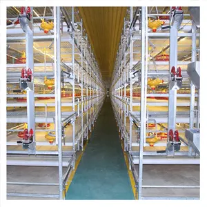 Broiler Cage For Chicken Automatic Broiler Poultry Farms Equipment Chicken Cage For Sale