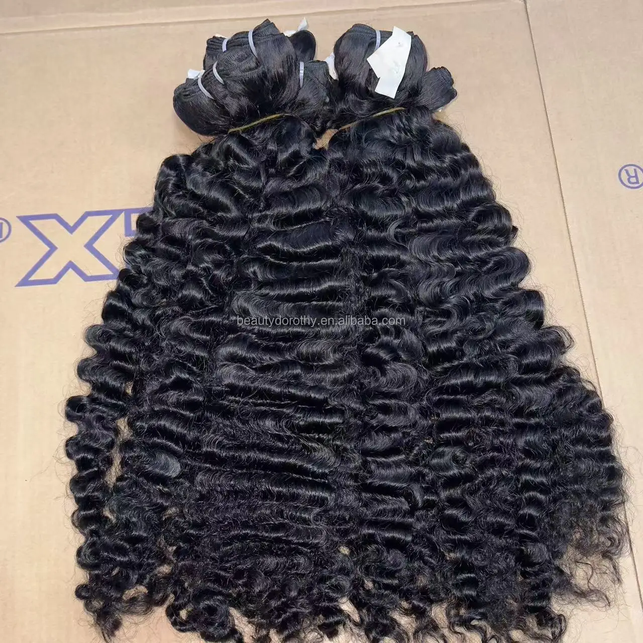 burmese curly