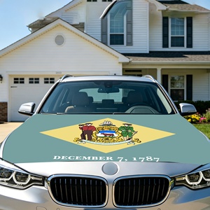 Bandera de poliéster para capó de coche al por mayor, bandera americana de Delaware para rally de vehículos, exhibición, bandera para capó de motor - Product Image 3