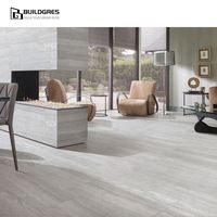 Dalles de porcelaine coordonnées effet veiné pour murs et sols, dimensionnellement stables, découpables sur mesure, aspect pierre, modernes, personnalisation pour parcs