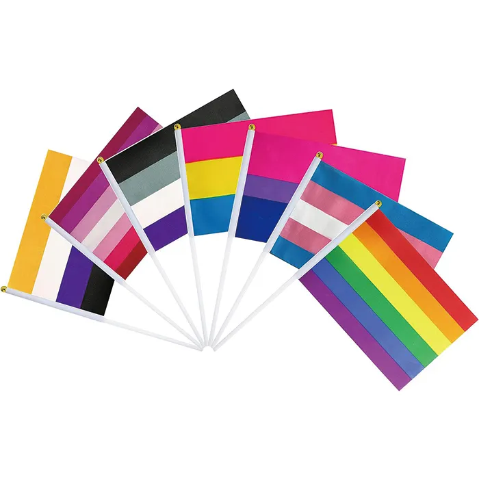 2024 Novo produto por atacado melhor qualidade logotipo personalizado tamanho campanha poliéster lgbt gay lésbicas orgulho mini bandeira arco-íris mão acenando