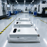 Batteries solaires domestiques LFP Lifepo4 haute efficacité 16 kWh 51,2 V 314 Ah, système de stockage d'énergie solaire domestique