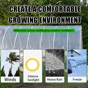 Cheap Factory Price 200 Microns Reinforced UV LDPE <strong>Greenhouse</strong> Film Single Layer Large <strong>Plastic</strong> <strong>Cover</strong> for Agriculture <strong>Greenhouse</strong> - Product Image 3