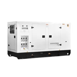 Schall diesel generator 25 kva 60hz einphasig elektrische power schweigen aggregat