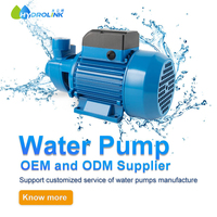 Pompe à eau périphérique de jardin à haute pression électrique monophasée QB60 de 1 2 3 CV 50 Hz 220 V, fabrication chinoise, robuste