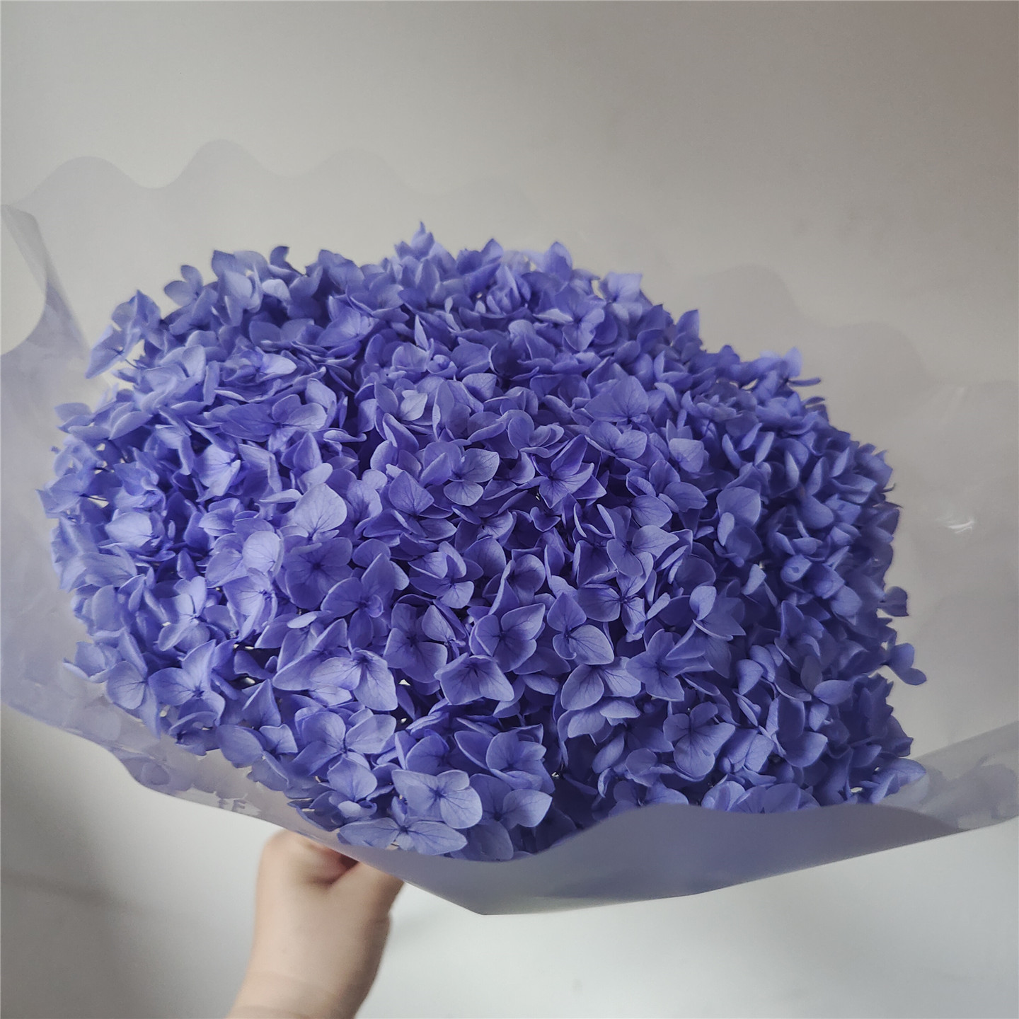 Light purple( easily fade), 18-21 cm