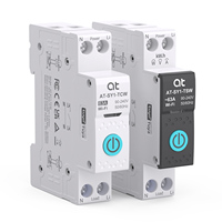 Interruptor de Circuito Inteligente AT-SY1-TCW, Interruptor Wifi, Interruptor de Circuito Inteligente AC90-280V, Mini Interruptor Wifi Mcb