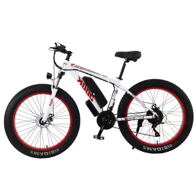 Mountain Bike and Snow Fat Tire Lithium Battery Electric Bicycle/Wide Tire Variable Speed Electric Bike/Best Sale Fat Boy E Bike
