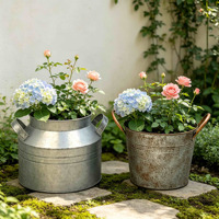 Ensemble de 2 pots à fleurs vintage en métal galvanisé, seau à lait en fer rustique avec poignées pour la décoration du jardin, du patio et de la maison